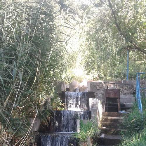 Photo #6963456