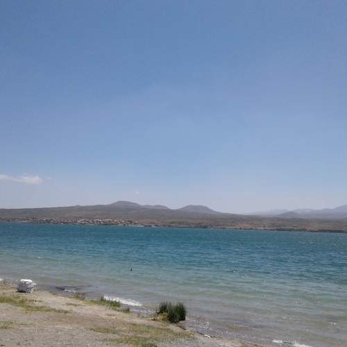 Photo #6963467