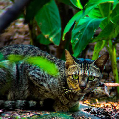 Photo #6963593