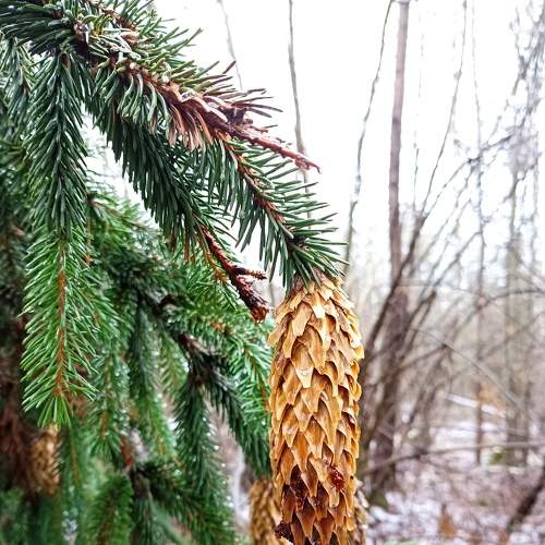 Photo #6963860