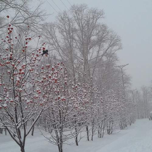 Photo #6963892