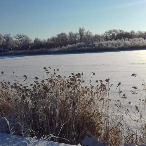 Photo #6963896