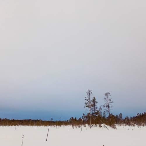 Photo #6963937