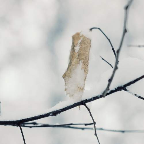 Photo #6964057