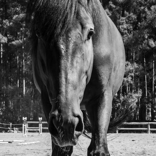 Photo #6964545