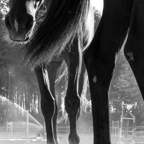 Photo #6964548