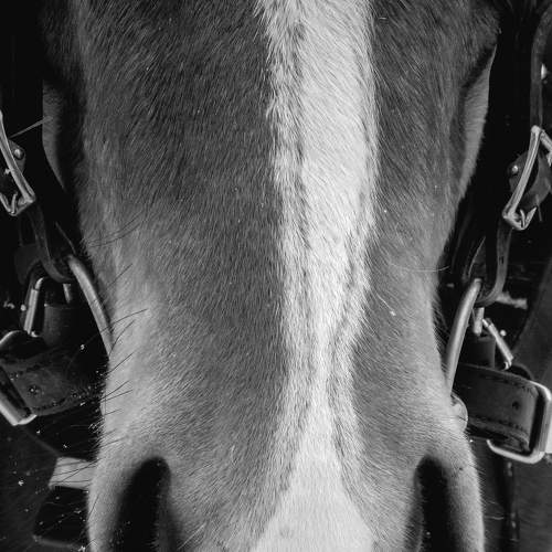 Photo #6964554