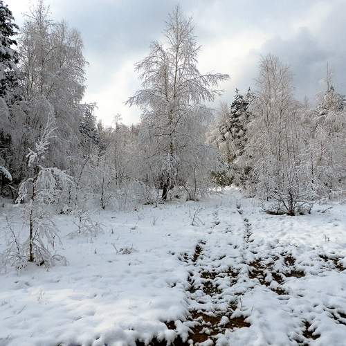 Photo #6964821