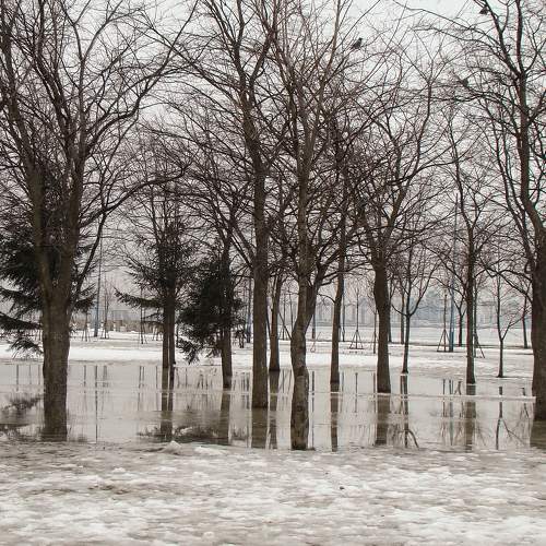 Photo #6964835