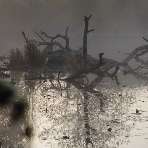 Photo #6964960