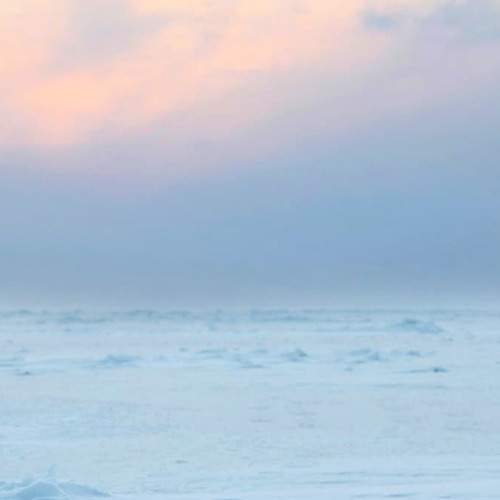 Photo #6965075