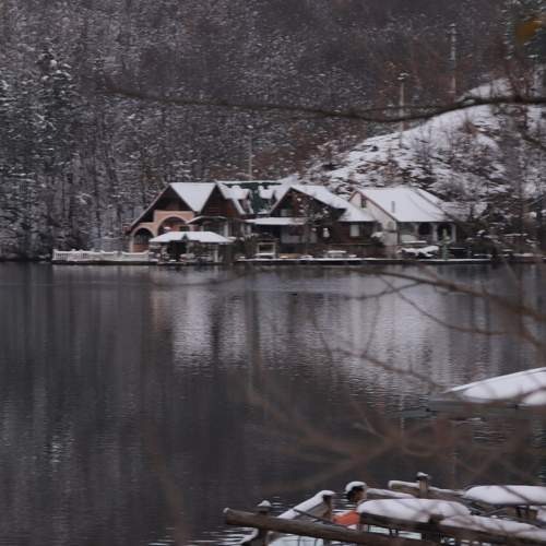 Photo #6965328