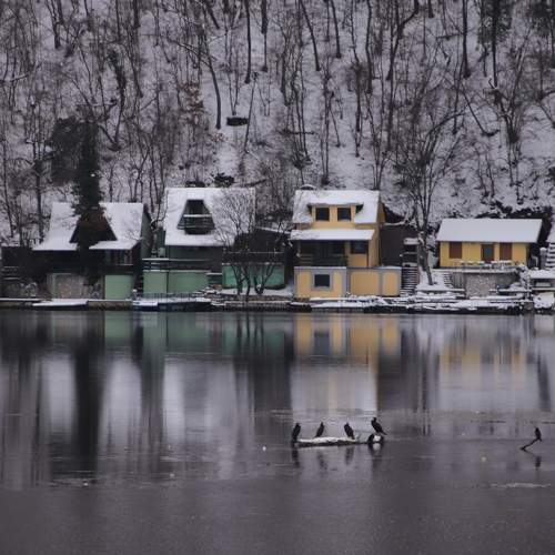 Photo #6965329