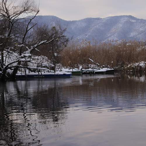 Photo #6965330