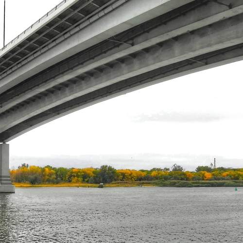 Photo #6965366