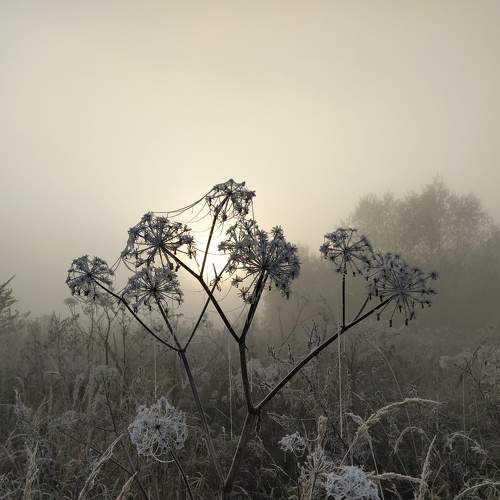 Photo #6965486