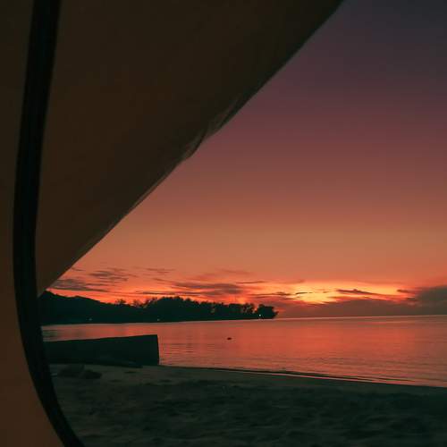 Photo #6965511