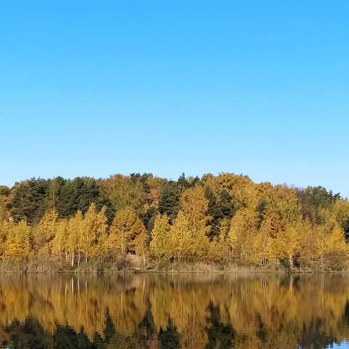 Photo #6965563