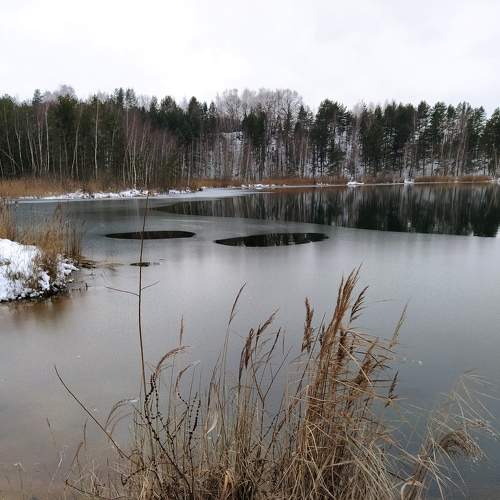Photo #6965588