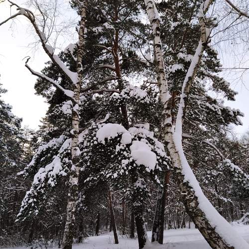 Photo #6965593