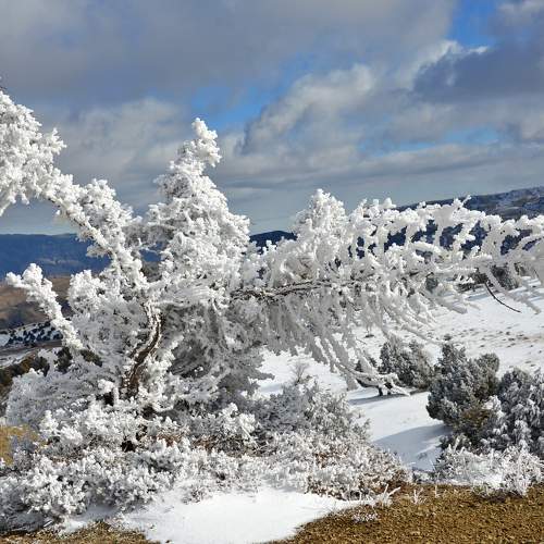 Photo #6965661