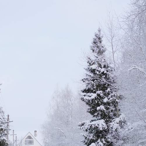Photo #6965738