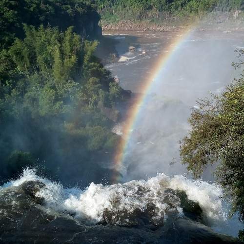 Photo #6965824