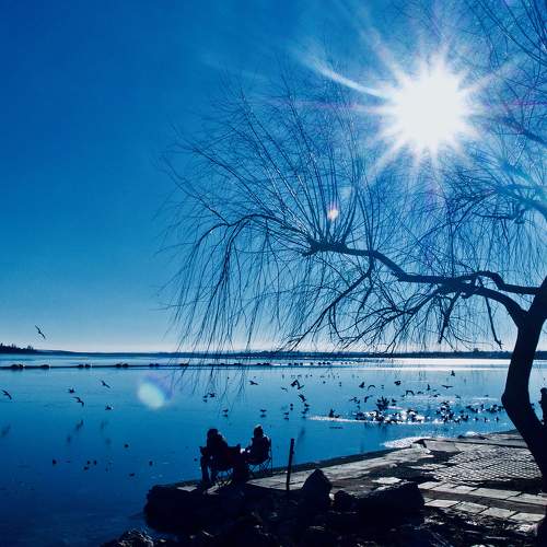Photo #6965895