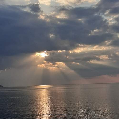 Photo #6966062