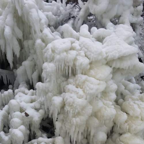 Photo #6966084