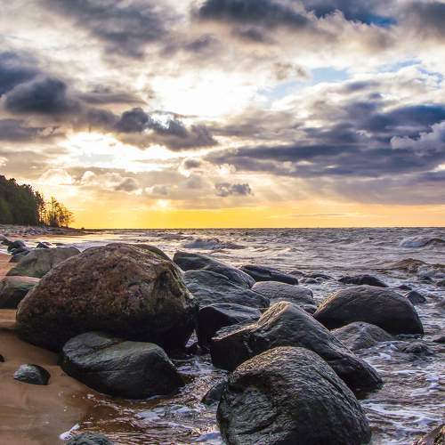 Морское великолепие / Sea Splendour