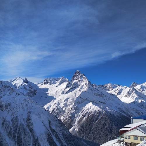 Photo #6966482