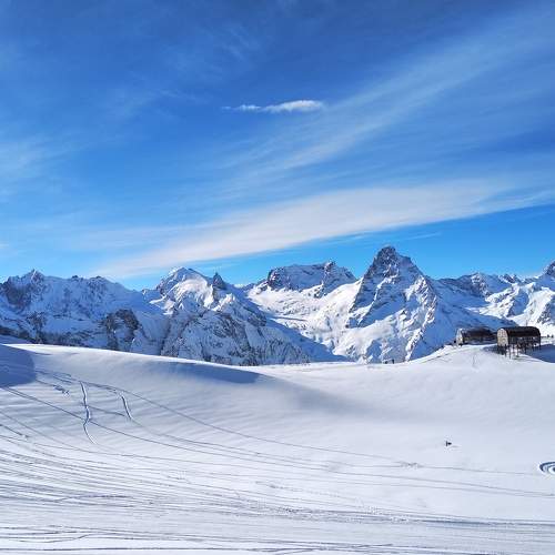 Photo #6966487