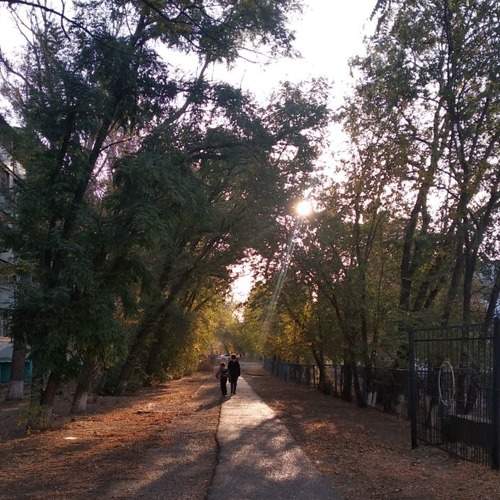 Photo #6966618