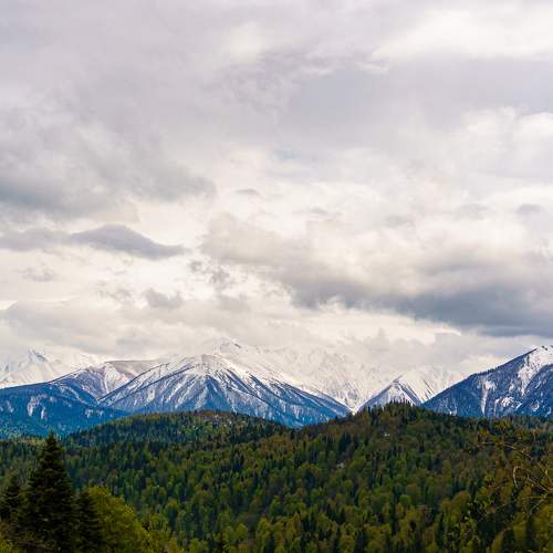 Photo #6966709