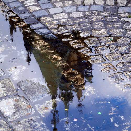Photo #6966884