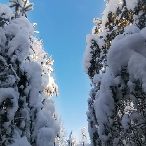 Photo #6966892