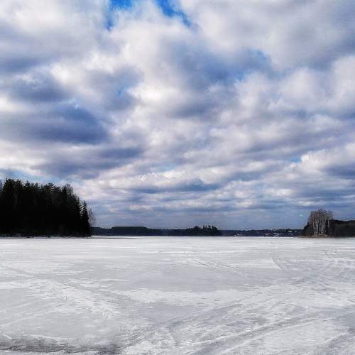 Photo #6966906