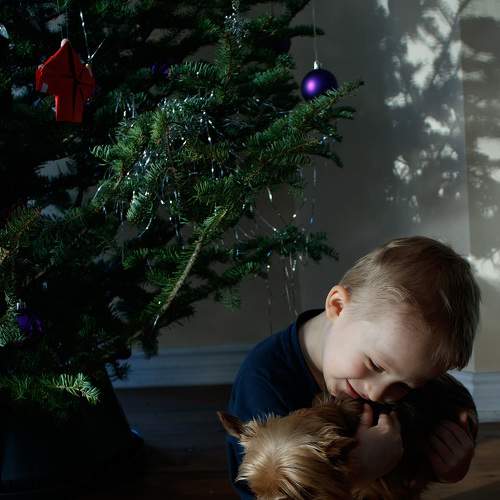 Photo #6966915