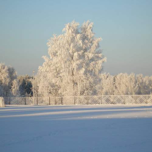 Photo #6966918