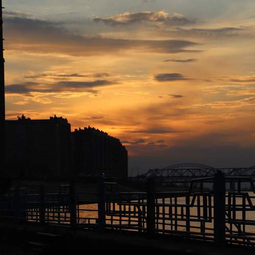 Photo #6967635