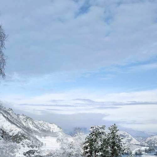 Photo #6967743