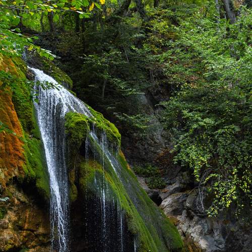 Photo #6967773