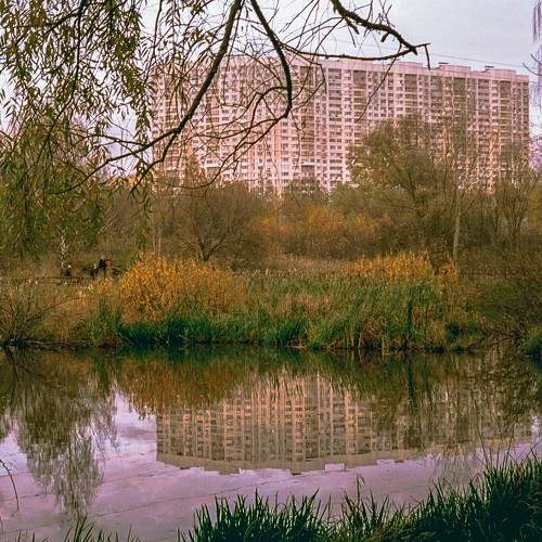 Photo #6967812