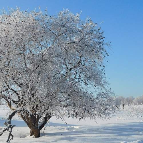 Photo #6968015