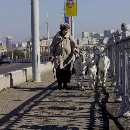 Photo #6968017