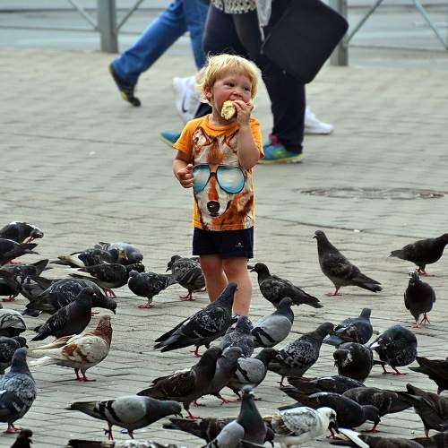 Photo #6968120