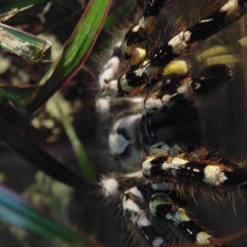 Photo #6968227