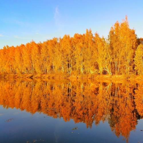 Photo #6968806