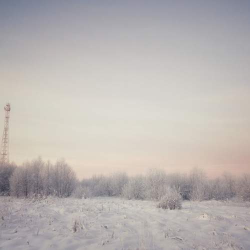 Photo #6968825